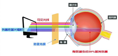 丝瓜视频无限最新科技成果 丝瓜下载视频成护眼利器